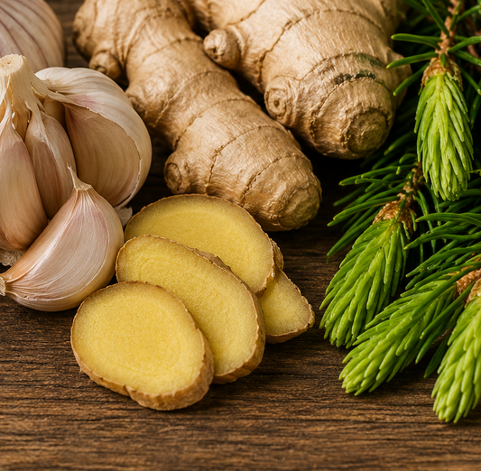 Forest Fire Cider / immune wellness elixir