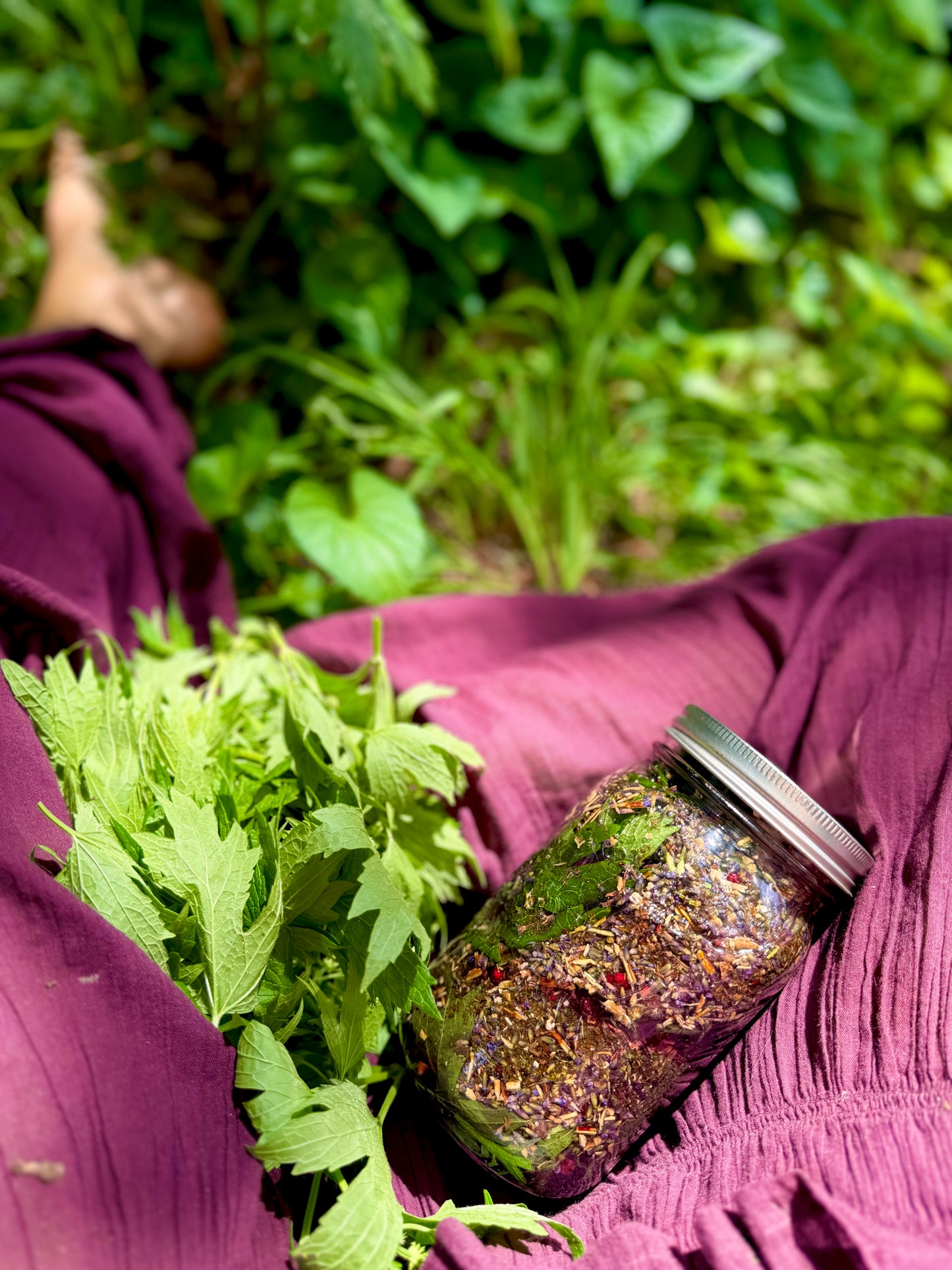 Blue Calm Tonic / soften the nervous system, quiet mental noise